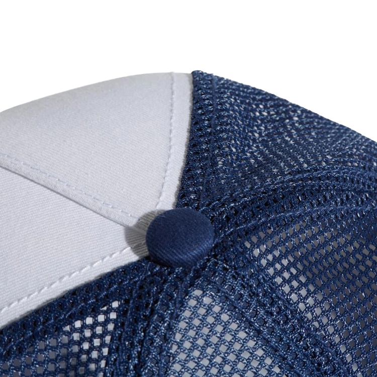 Chipiu Adidas FROZEN CAP